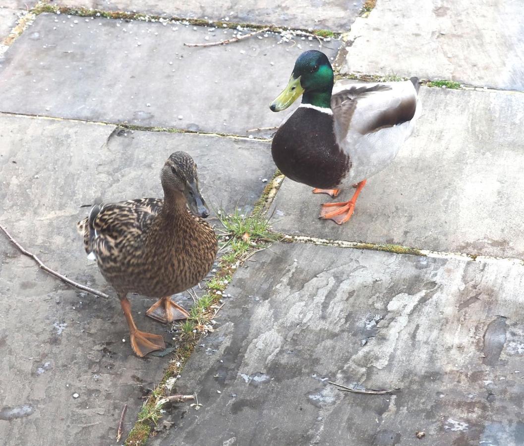 布雷斯韦特Finest Retreats - The Duck House别墅 外观 照片